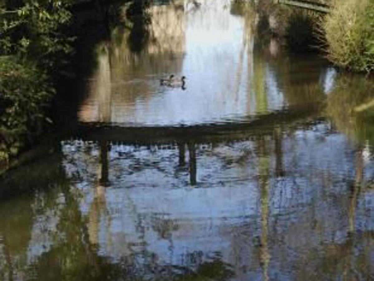 Gite Charmant Avec Piscine Chauffee, Tennis Et Jardin Pres De Beaumont-Sur-Sarthe - Fr-1-410-214 Villa Maresche Luaran gambar